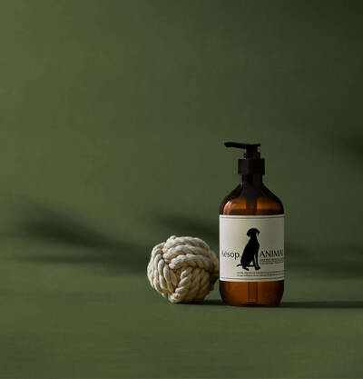 Aesop How To