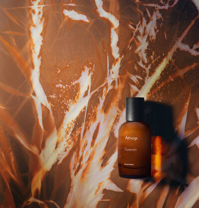 Aesop How To