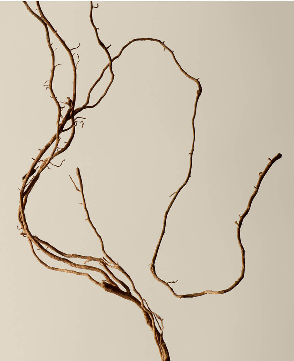 Woody, Earthy, Smoky Image